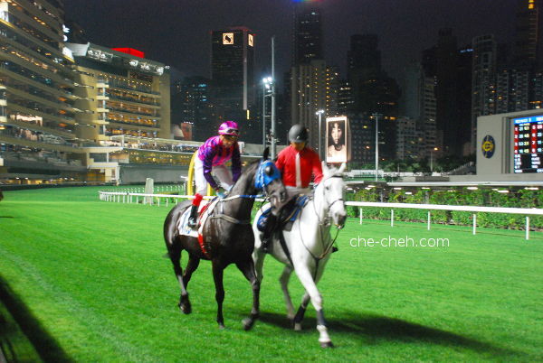 Jockey Riding To The Starting Point @ Happy Valley Racecourse, Hong Kong